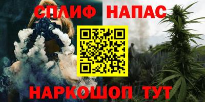 дмт Дубна