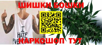 дмт Дубна