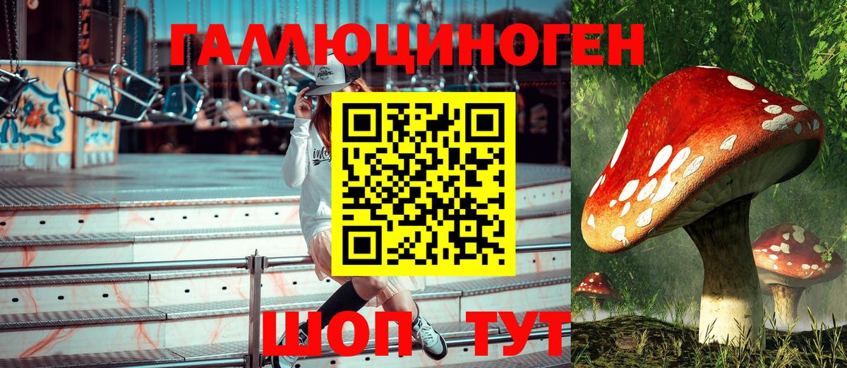 Псилоцибиновые грибы мухоморы Тобольск